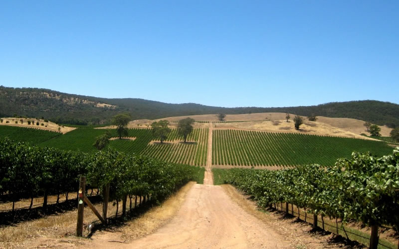 Barossa Valley Coogee Beach Accommodation